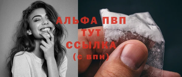 эйфоретик Баксан