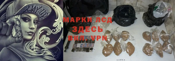 эйфоретик Баксан