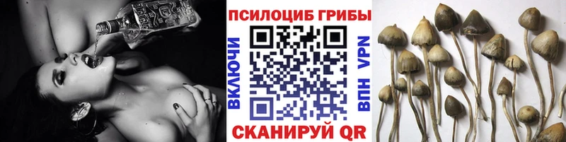 Псилоцибиновые грибы GOLDEN TEACHER  Зима 